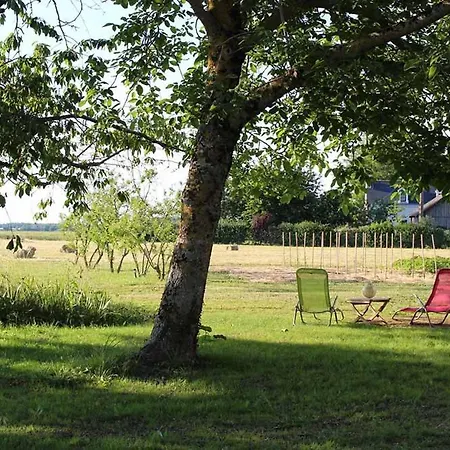 Ecologique, Nature, Detente Et Sauna
